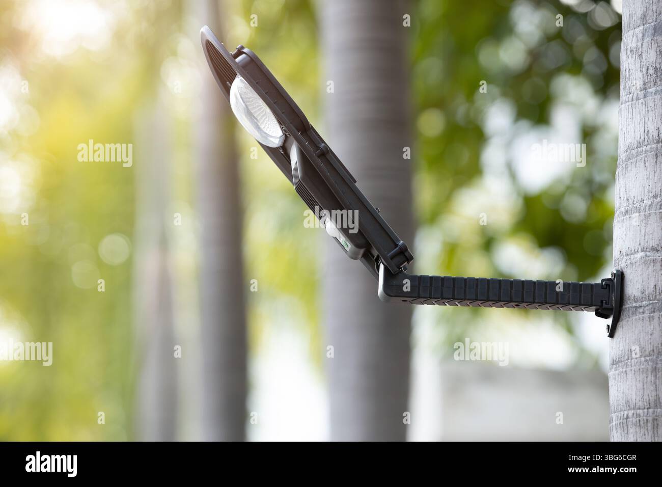 Lampione stradale a LED per l'illuminazione di fonti di energia solare negli spazi pubblici che utilizzano il tronco dell'albero come un palo luminoso che fonde la natura Foto Stock