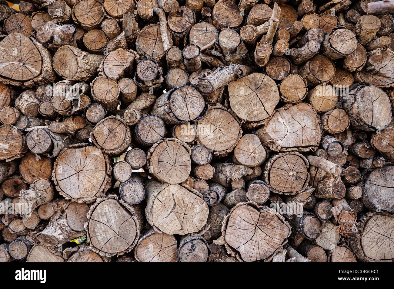 Sezione trasversale ravvicinata di rami di legno secco tagliati e accatastati legname da ardere, trame di legno naturale e motivi del legno. Foto Stock