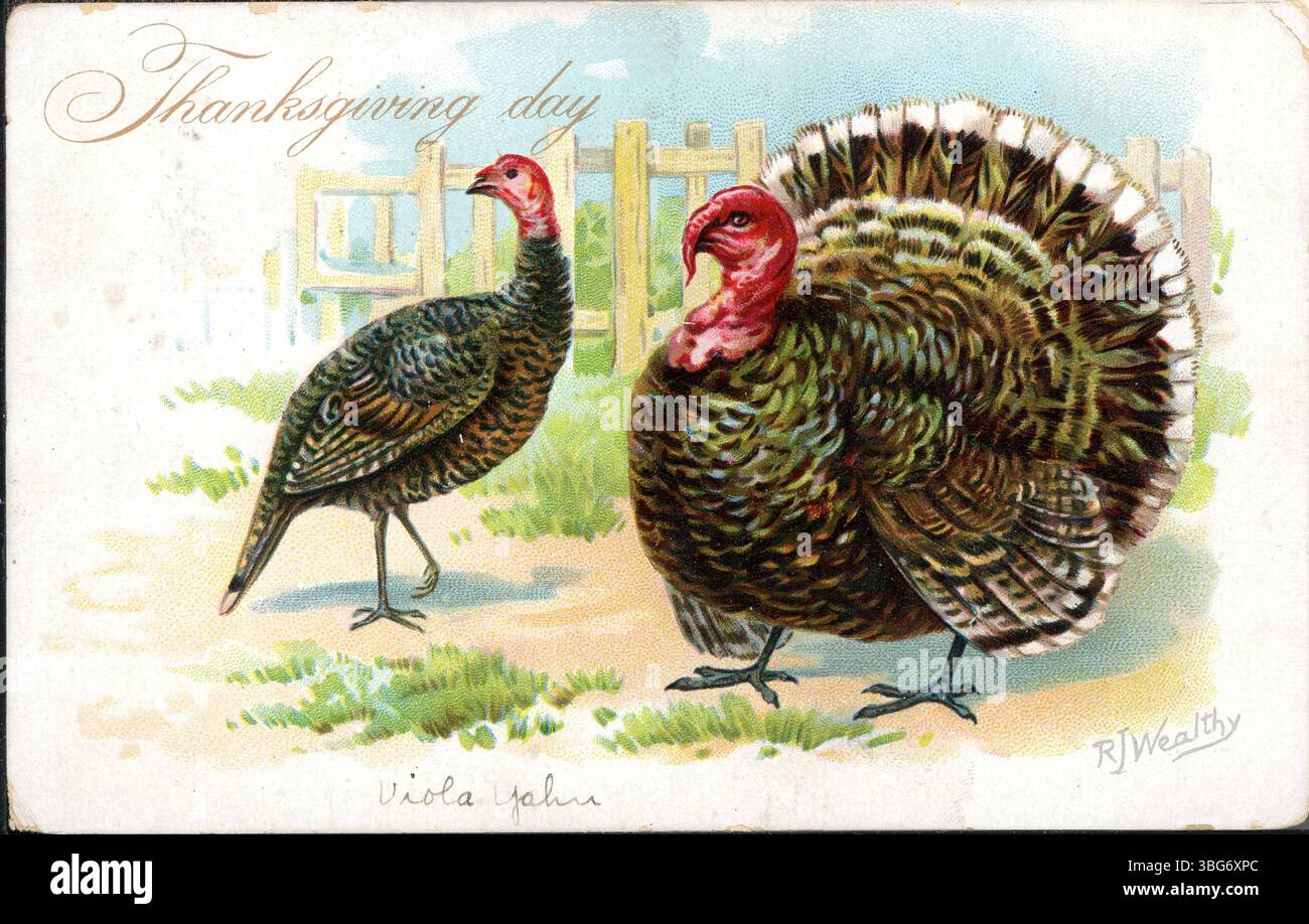 Una cartolina a colori con due tacchini per il giorno del Ringraziamento, che celebra le vacanze con immagini natalizie. Foto Stock