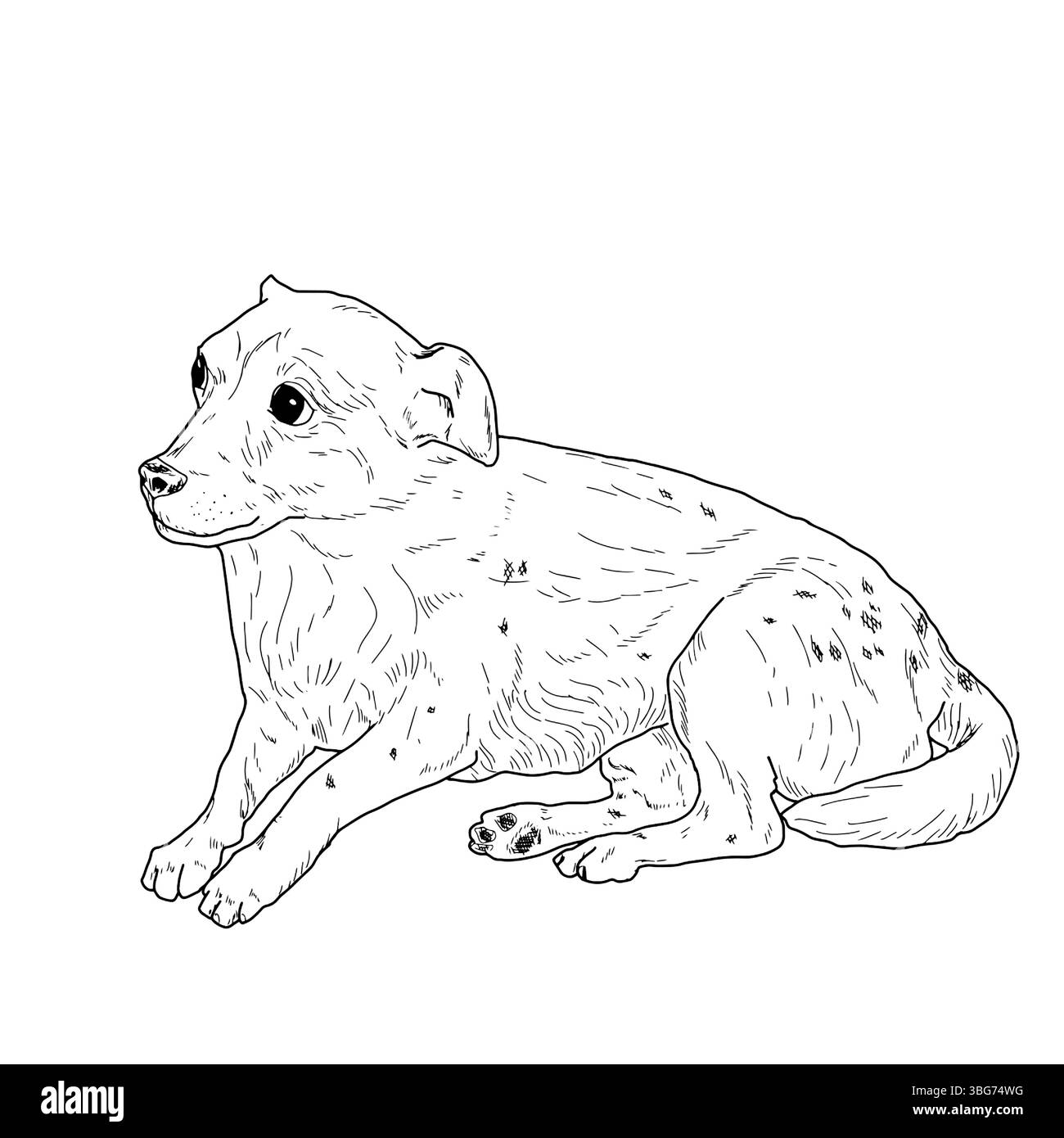 Un piccolo cane da compagnia sta mentendo, uno schizzo a inchiostro bianco e nero. Illustrazione vettoriale. Un cane da giro, un cucciolo, isolato su uno sfondo bianco. Il disegno è fatto io Illustrazione Vettoriale
