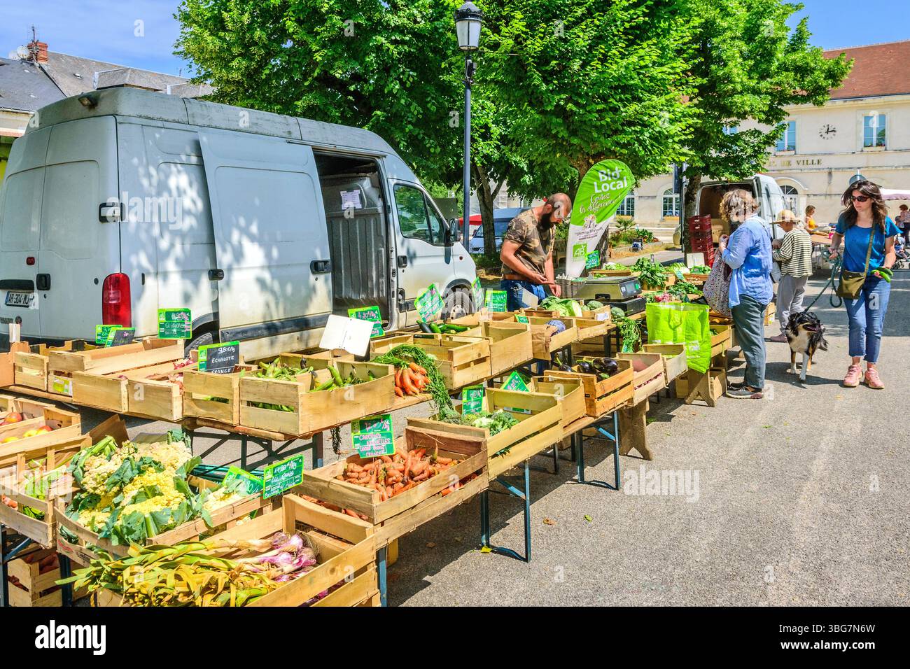 Verdure biologiche vendute in un mercato alimentare settimanale - la Roche Posay, Vienne (86), Francia. Foto Stock