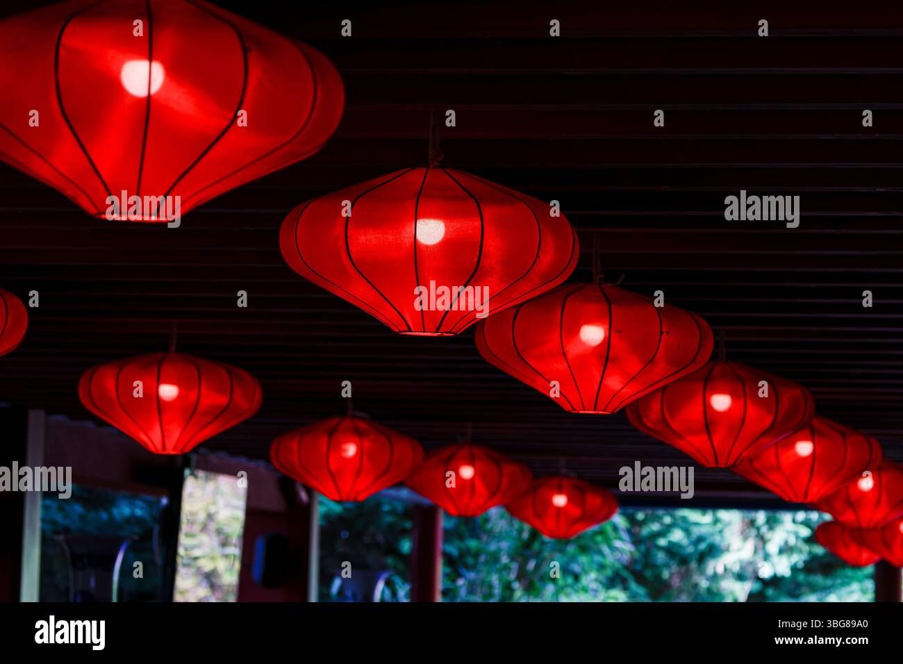 Zooparc de Beauval, Francia - 23.5,2025: Lanterne rosse che creano un'atmosfera festosa Foto Stock