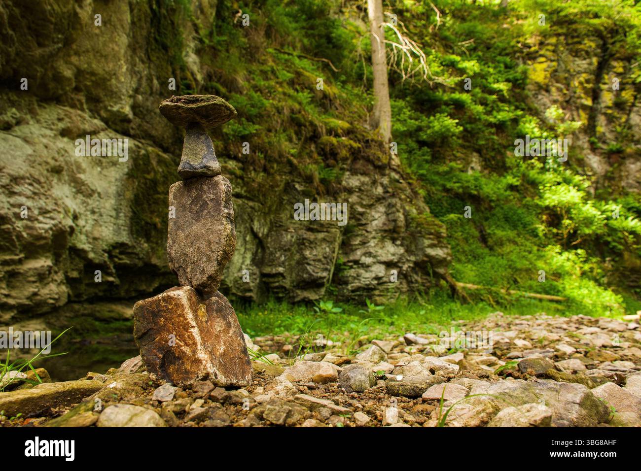 Una torre di roccia accuratamente impilata circondata da spettacolari scogliere e vegetazione lussureggiante. Terra e naturale, direttamente dal suolo della foresta. Foto Stock
