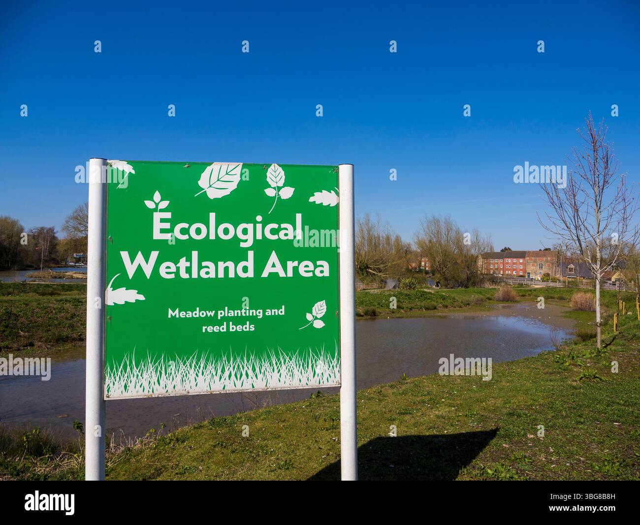 Ecological Wetland area, Marshland, Westbury, Wiltshire, Inghilterra, REGNO UNITO, REGNO UNITO. Foto Stock