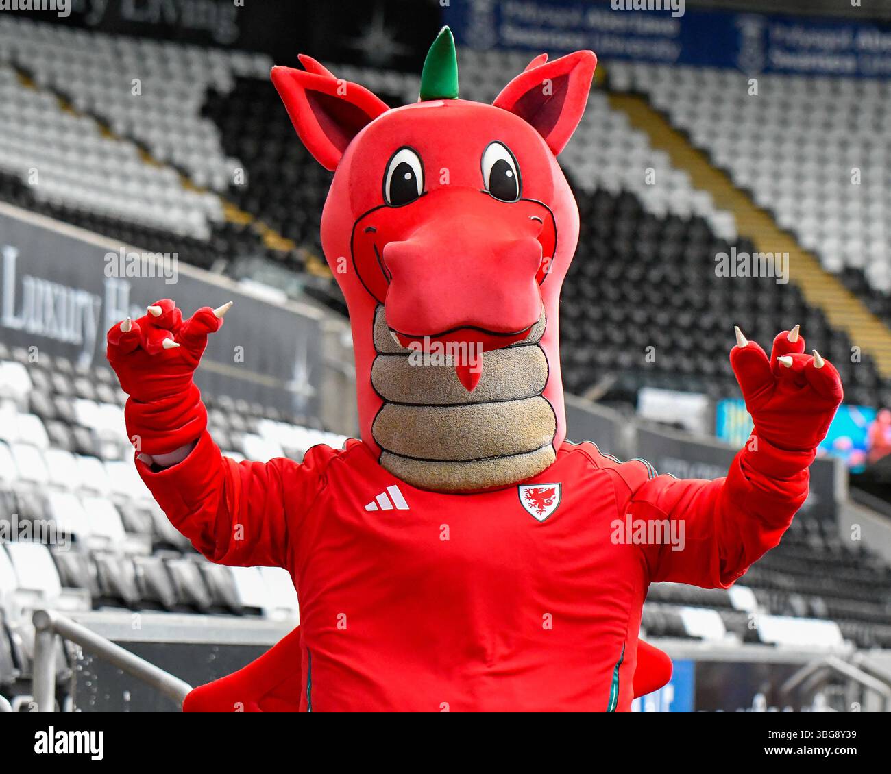 Swansea, Galles. 3 giugno 2025. Y Ddraig Goch Welsh Dragon mascotte calcistica durante la partita del gruppo A4 della UEFA Women's Nations League tra Galles e Italia allo Stadio Swansea.com di Swansea, Galles, Regno Unito, il 3 giugno 2025. Crediti: Duncan Thomas/Majestic Media. Foto Stock