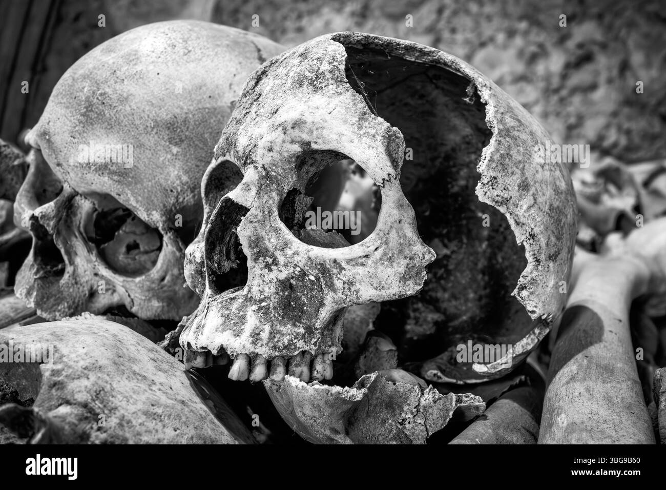 Un cranio umano fratturato e danneggiato esposto alla Crypt of St Leonard's Church di Hythe, Kent, Regno Unito, catturato in un tono bianco e nero ad alto contrasto Foto Stock