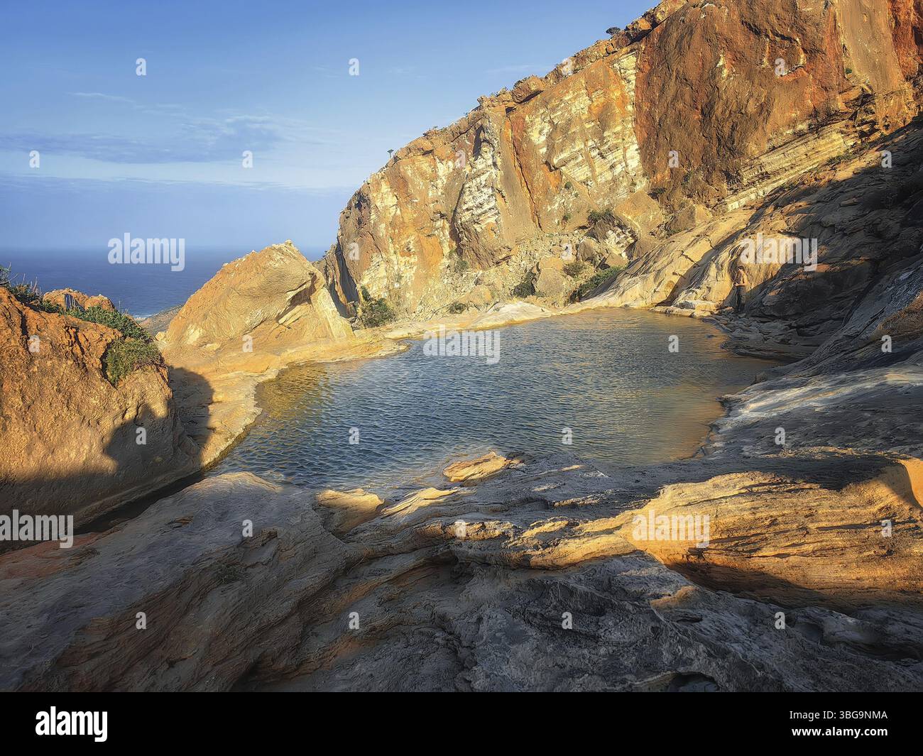 Homhill-Plateau auf der Insel Sokotra, Jemen Foto Stock