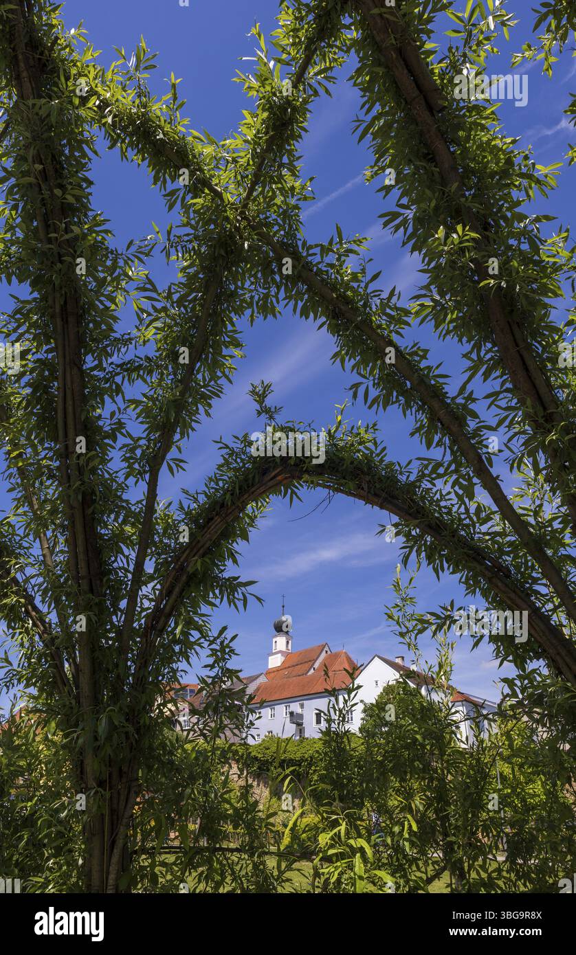 Weidendom nei giardini termali, Schaerding, Innviertel, alta Austria, Austria, Europa Foto Stock
