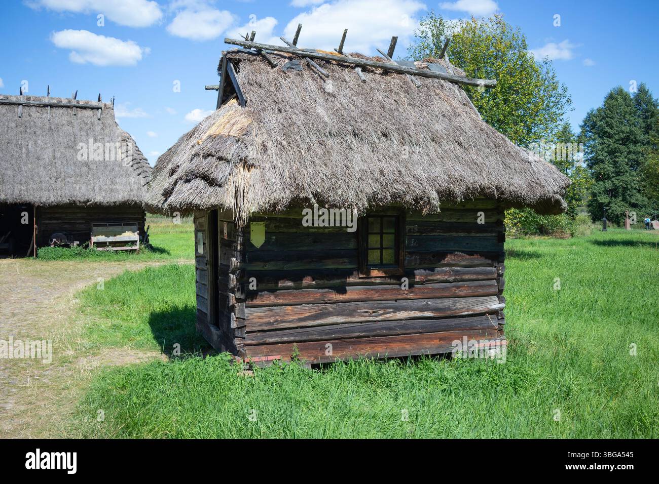 Una piccola casa in legno con tetto in paglia si trova in un campo erboso. La casa e' circondata da un lussureggiante campo verde, donandogli una tranquilla e serena atmos Foto Stock