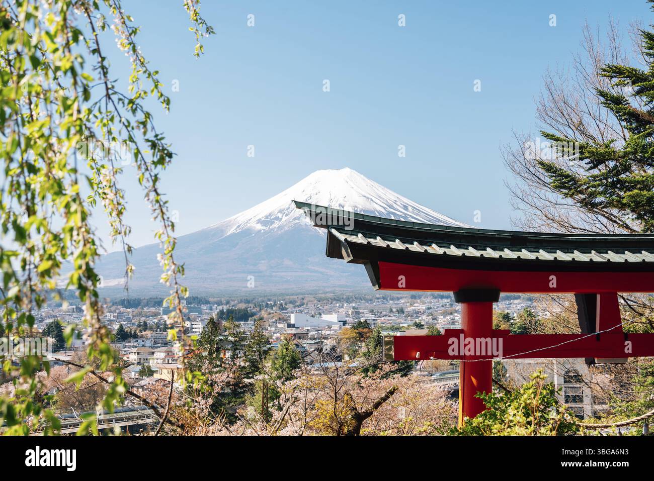 Arakurayama Sengen Park Shrine porta Torii e Fuji Mountain in primavera a Yamanashi, Giappone, Asia Foto Stock