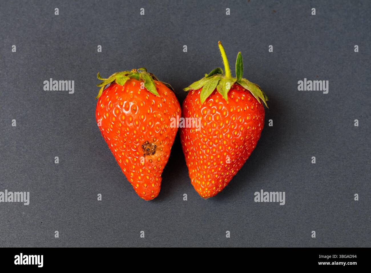 Un'immagine concettuale che mostra due fragole organiche quasi identiche posizionate fianco a fianco su uno sfondo di grafite. Mentre entrambi i frutti sono simili in si Foto Stock