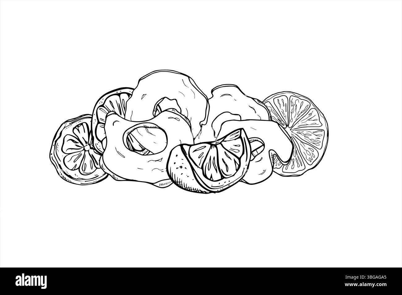 Illustrazione vettoriale delle fette di mele essiccate con un cumulo di limone e agrumi d'arancia. Composizione monocromatica autunnale per confezionamento di alimenti e bevande invernali Illustrazione Vettoriale