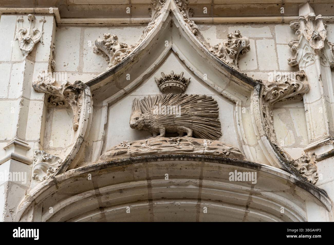 L'emblema del porcospino adorna l'elaborata arcata in pietra che mostra i simboli araldici reali nello storico castello di Blois. Foto Stock