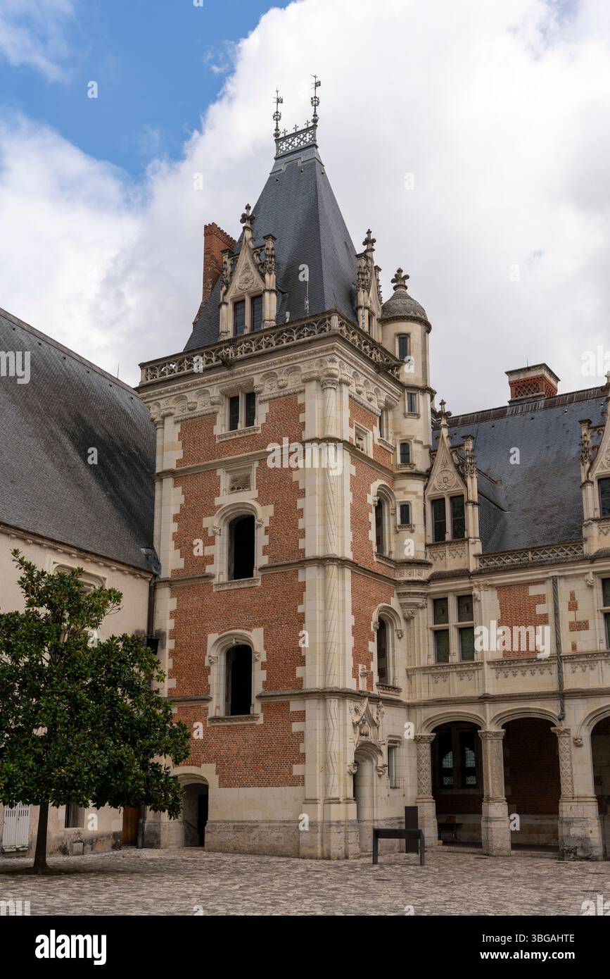 L'ala rinascimentale del castello presenta un'elegante facciata classica con finestre simmetriche e dettagli architettonici ornati a Blois. Foto Stock