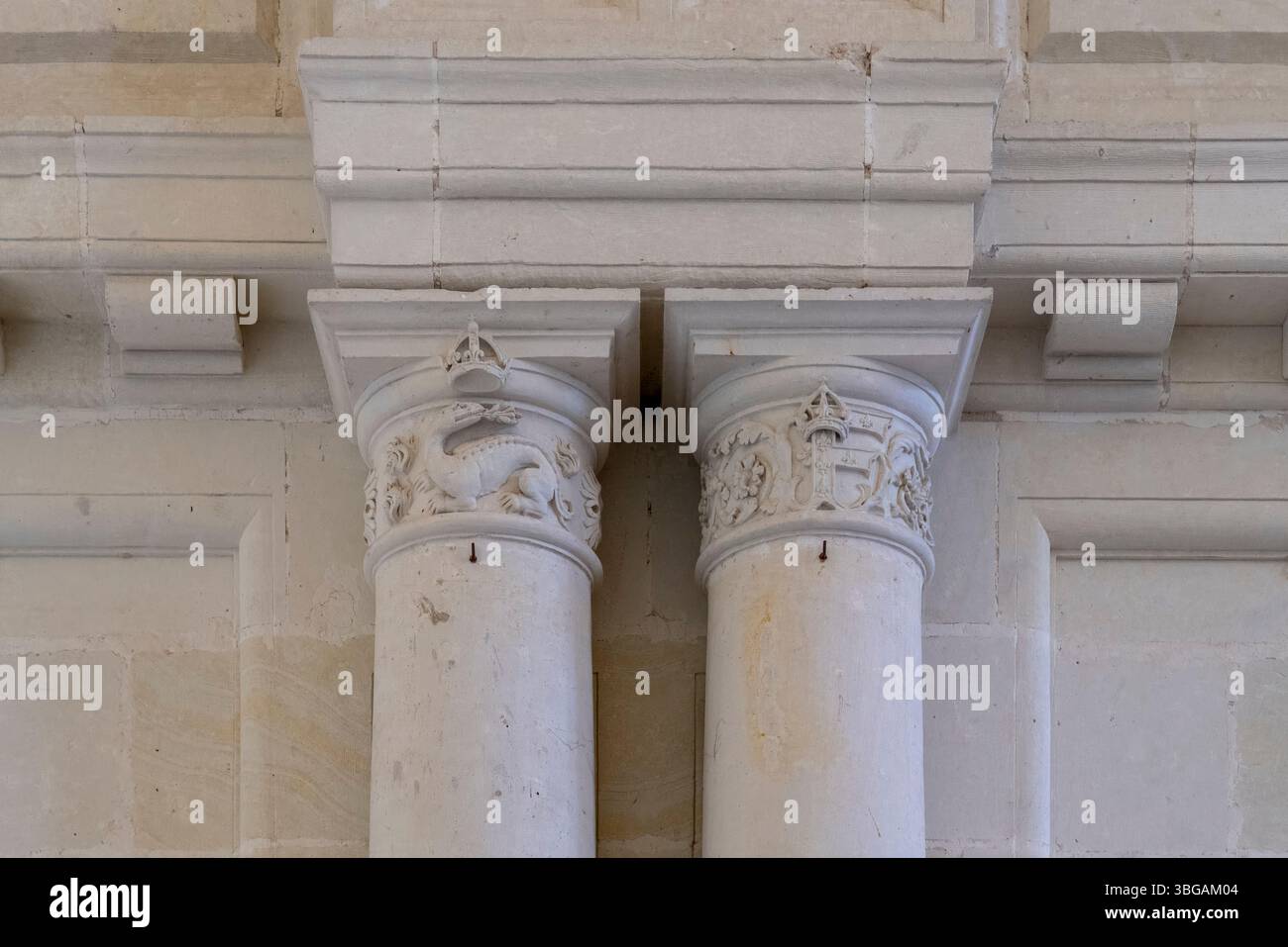 Colonne ornate mostrano emblemi di salamandra e monogrammi di Francesco i che mostrano simboli araldici reali a Château de Chambord. Foto Stock