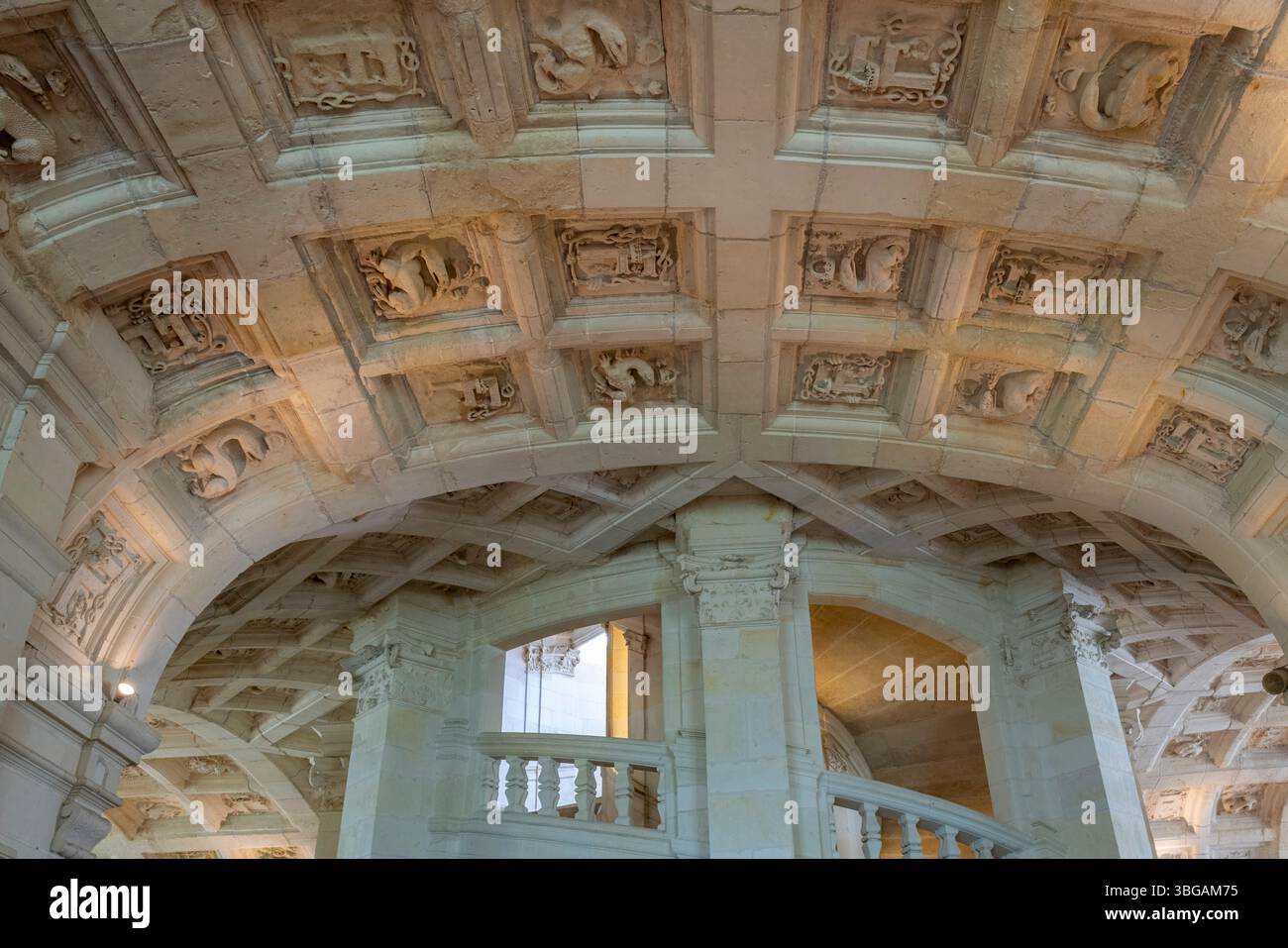 Imponenti torri medievali con distintive opere in pietra dominano la spettacolare architettura rinascimentale di Chambord. Foto Stock