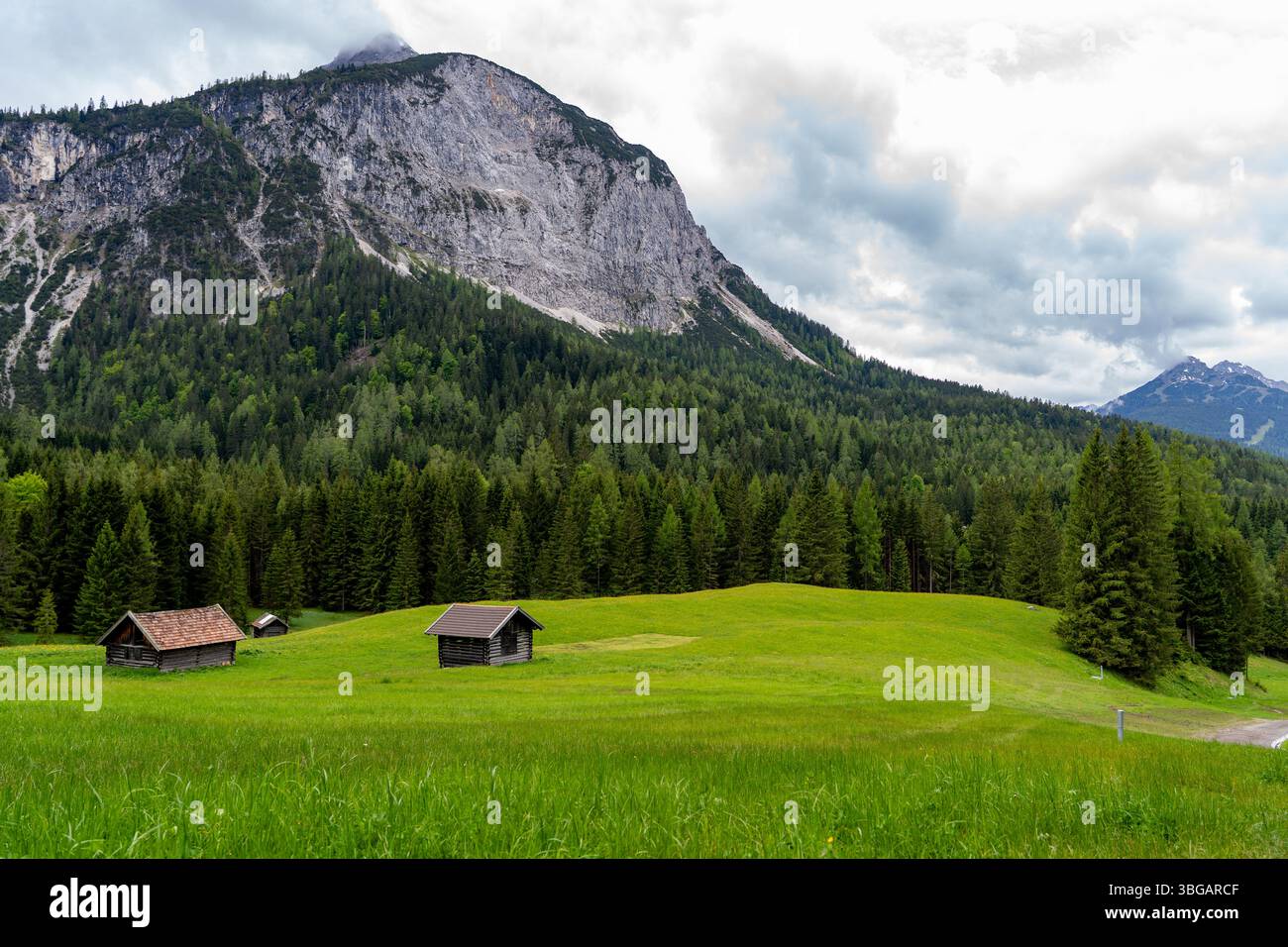 Prato alpino con cabine e sfondo di montagna vicino a Ehrwald, Tirolo, Austria Foto Stock
