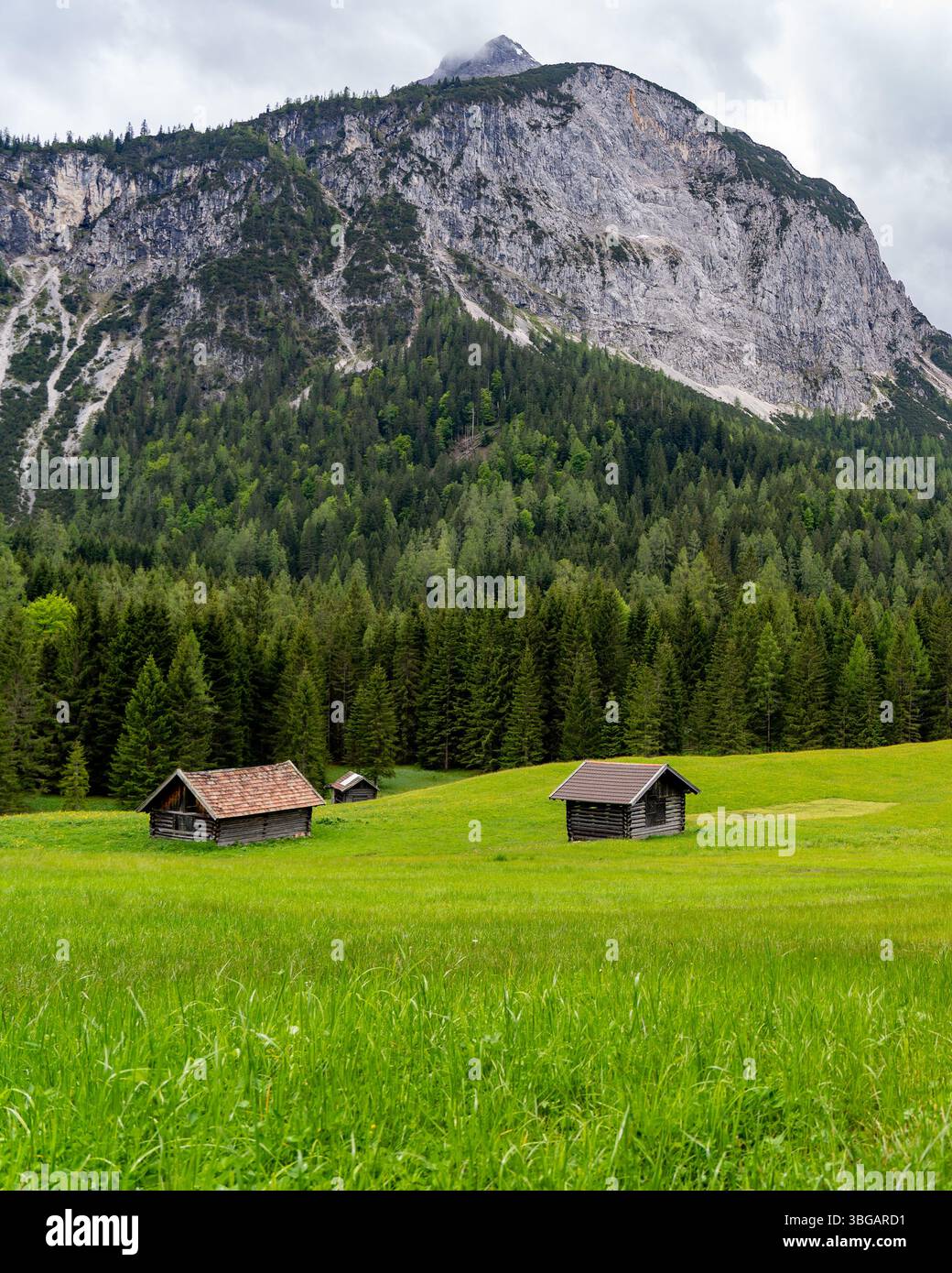 Prato alpino con cabine e sfondo di montagna vicino a Ehrwald, Tirolo, Austria Foto Stock