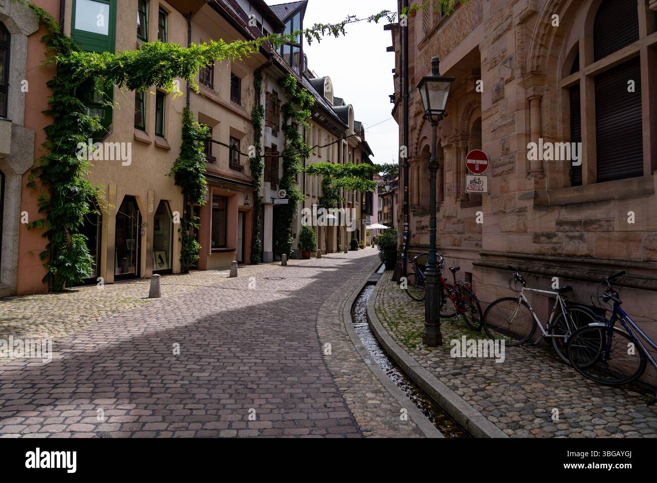 Strada acciottolata con gli edifici Bächle e ricoperti di edera a Friburgo Foto Stock