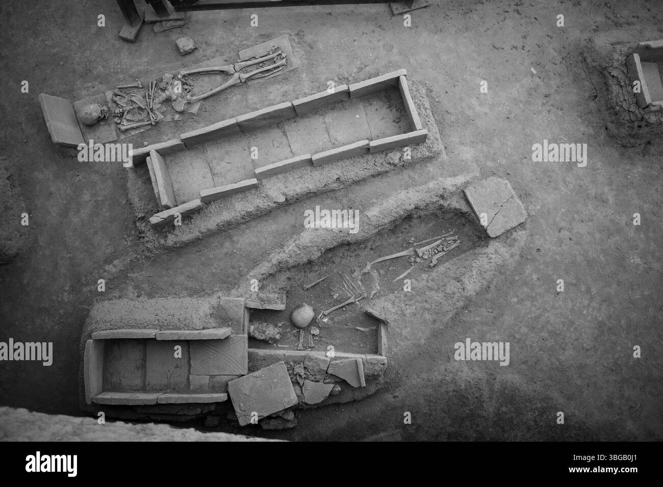 Scheletro e cranio umani trovati da scavi archeologici a Viminacium, Serbia. scheletro umano in primo piano Foto Stock