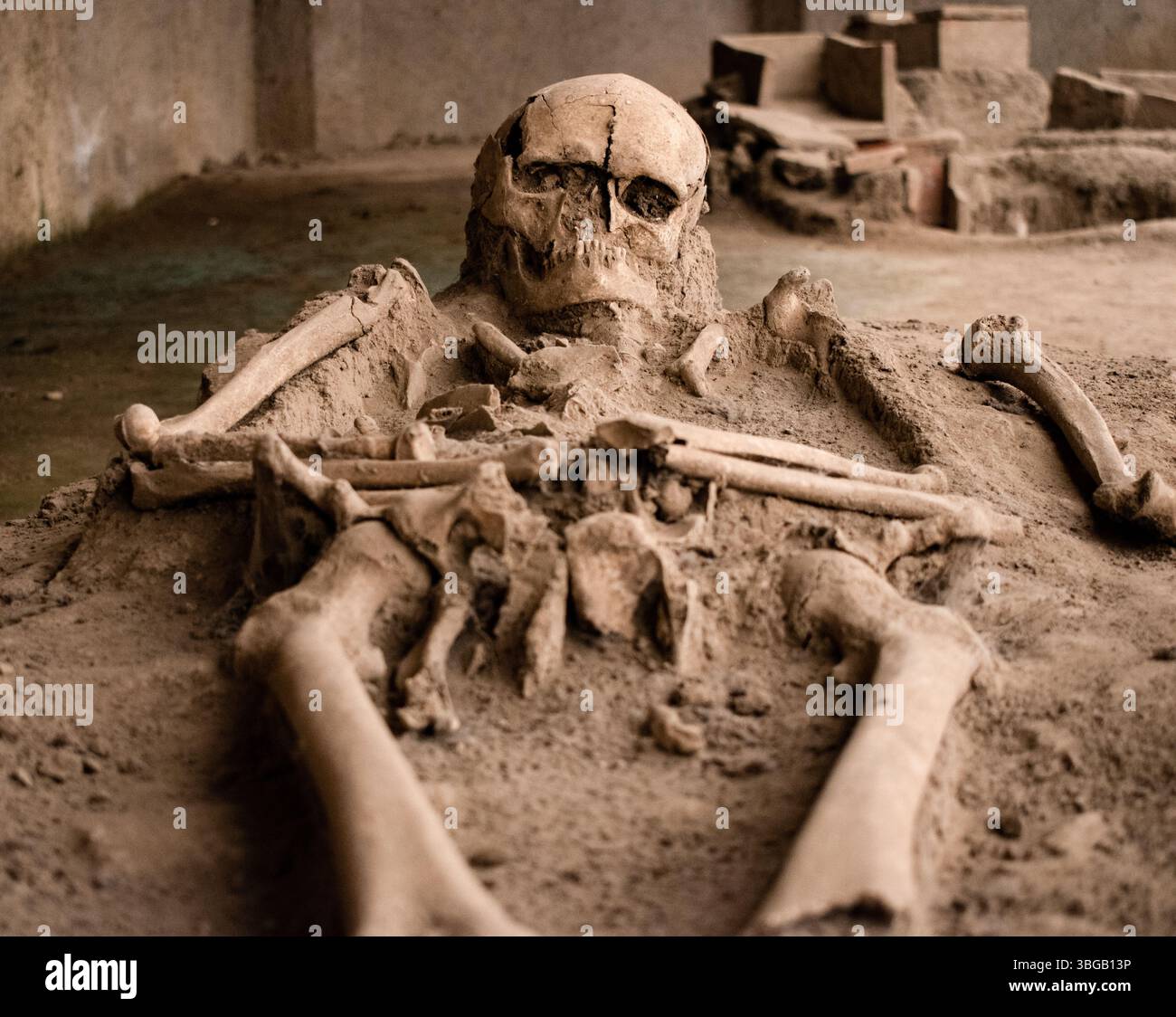 Scheletro e cranio umani trovati da scavi archeologici a Viminacium, Serbia. scheletro umano in primo piano Foto Stock
