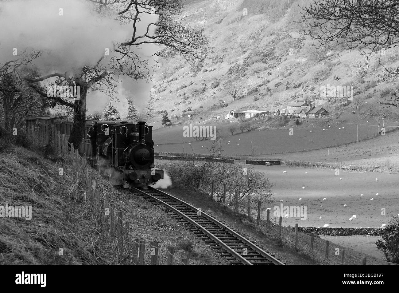 "Dolgoch" doppia direzione con "Talyllyn" tra Quarry Siding e Abergynolwyn. Foto Stock