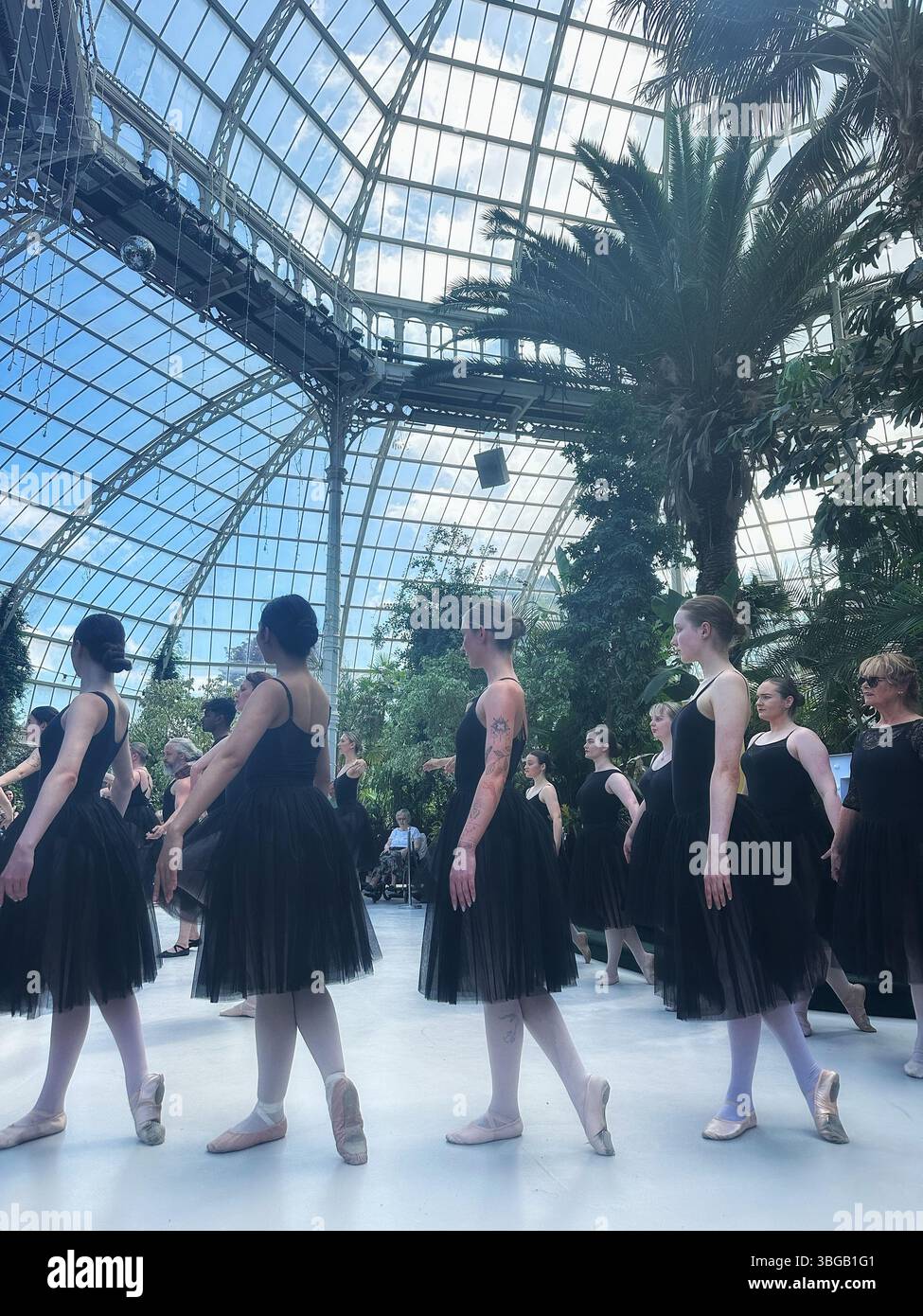 Le ballerine in tuto nero si esibiscono sotto la cupola di vetro di Palm House, Sefton Park durante l'evento della comunità del LEAP Festival, 27 aprile 2025 Foto Stock