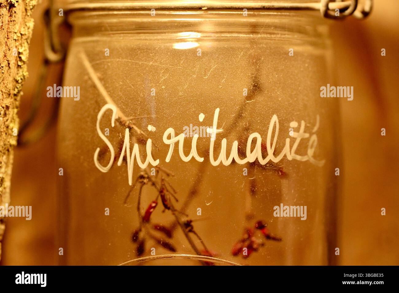 Vaso in vetro etichettato "Spiritualité", con rami secchi, che evoca un senso di consapevolezza, riflessione e il naturale legame con la spiritualità Foto Stock
