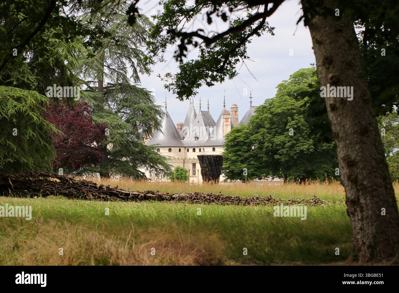 Chateau Chaumont-sur-Loire, adagiato su ampi terreni, ospita ora una collezione di sculture di importanza internazionale Foto Stock