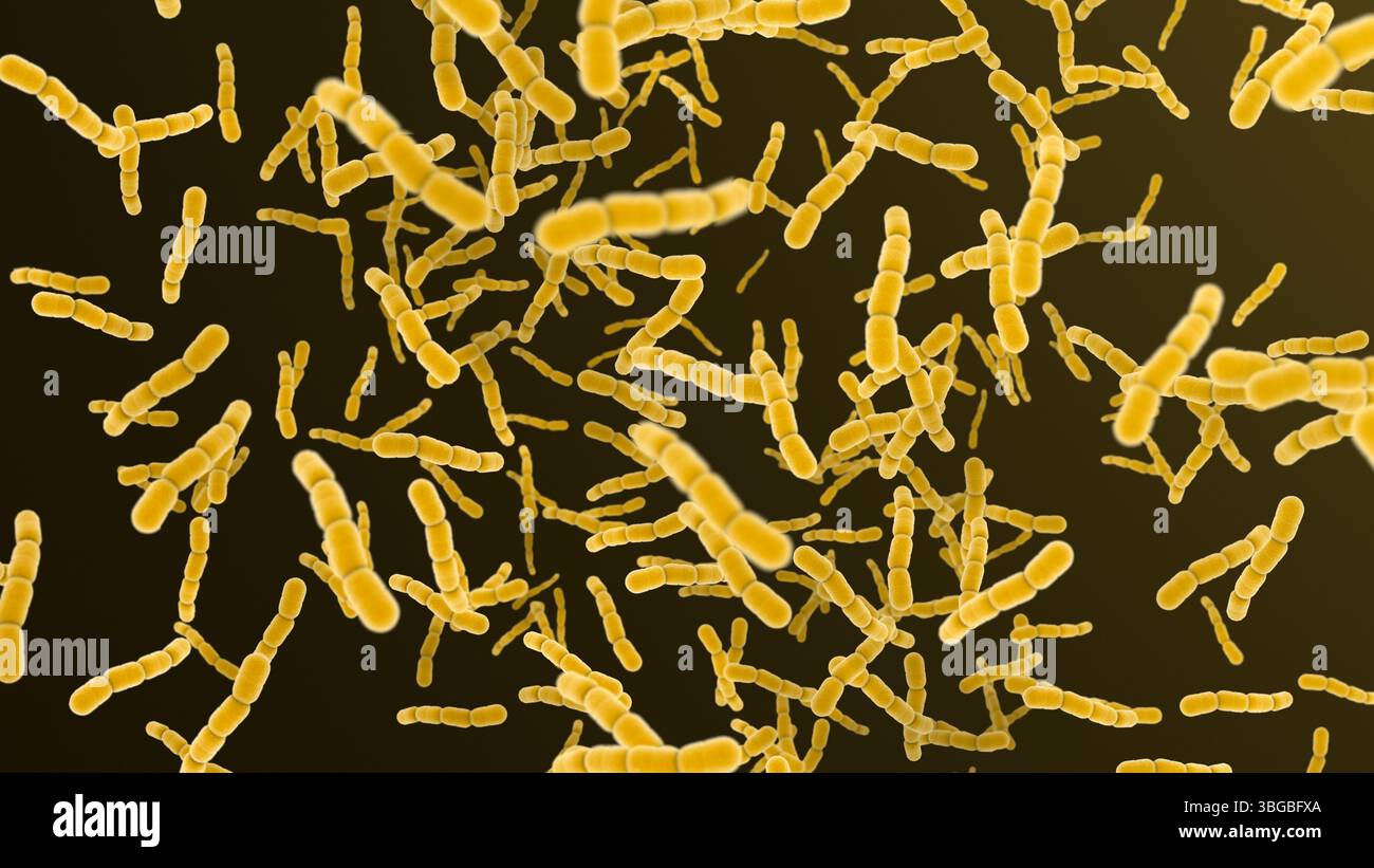 Cellule batteriche di Streptococcus pneumonia. 3D rendering sfondo microscopico. Foto Stock