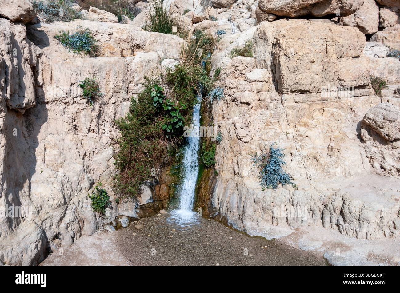 Un piccolo flusso d'acqua scorre lungo una collina rocciosa. L'acqua è limpida e fresca e le rocce che la circondano sono ruvide e frastagliate. La scena è squallida Foto Stock