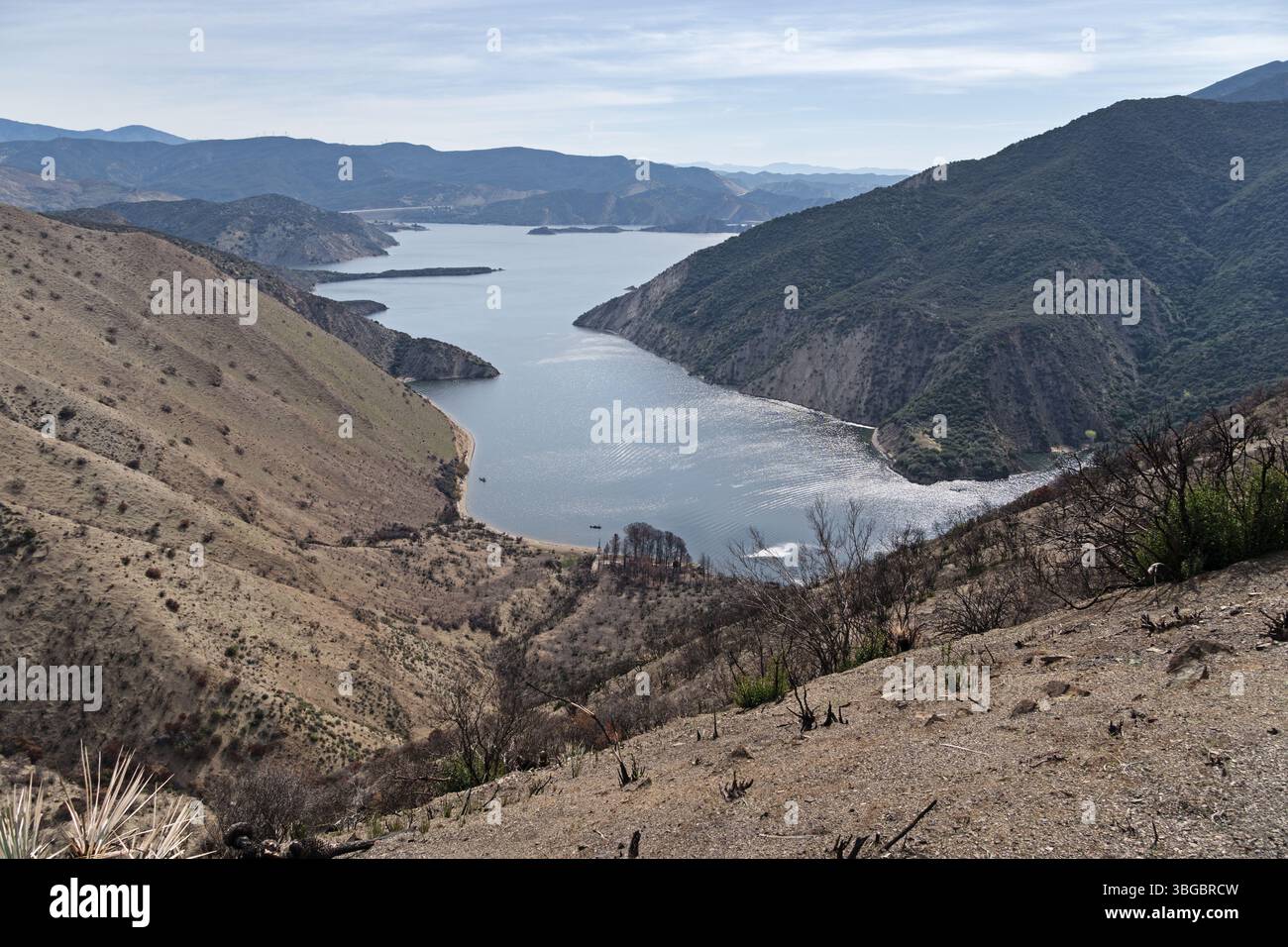 Il braccio Piru Creek del lago Pyramid nel sud della California con il primo piano e il lato sinistro bruciati dal Post Fire Foto Stock