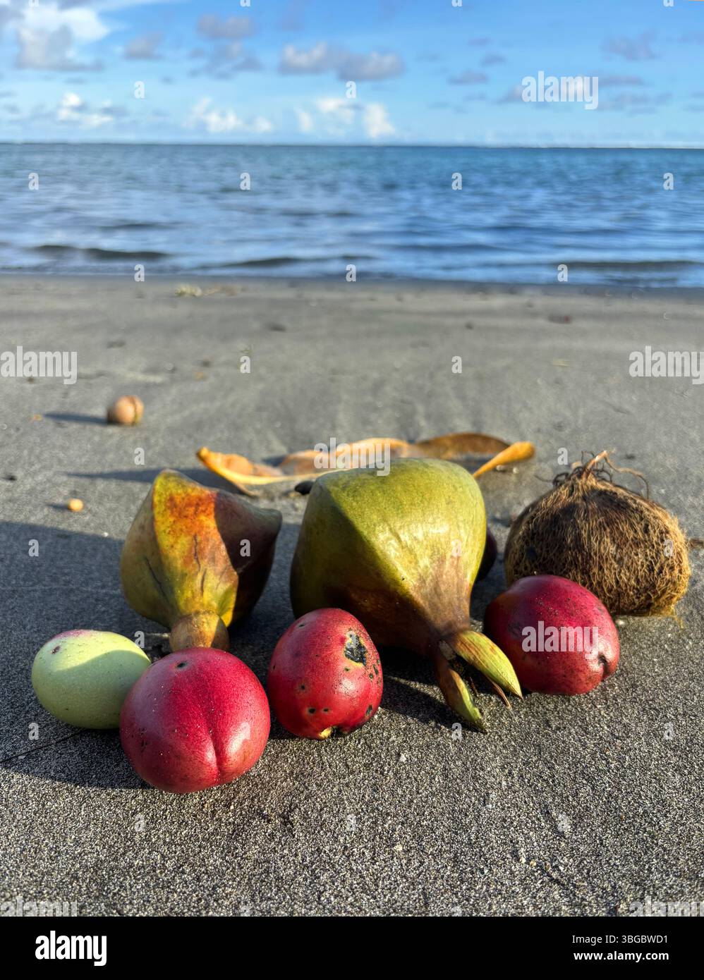Bizzarri e colorati frutti lavati sulla spiaggia, sull'isola di Tetepare, sulla provincia occidentale, sulle isole Salomone Foto Stock