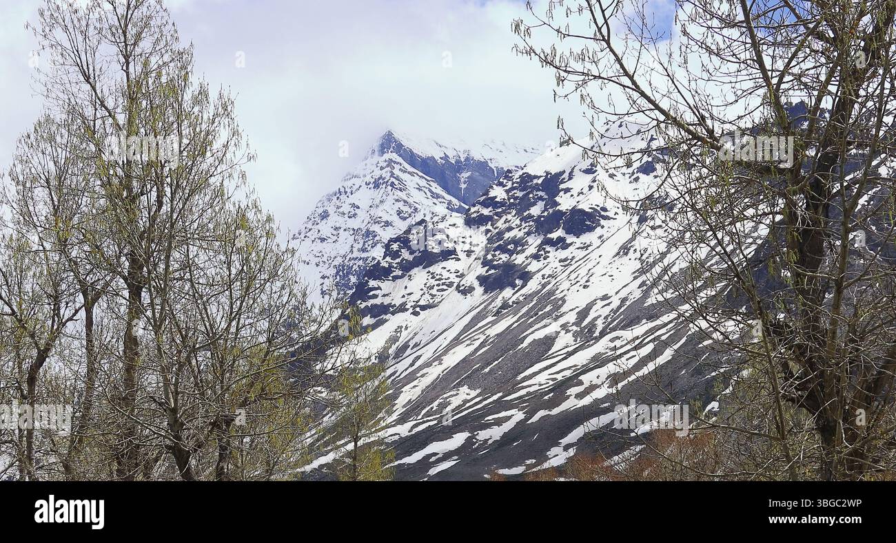 natura selvaggia della valle del lahaul, vista panoramica delle montagne innevate dell'himalaya e della foresta di montagna, lahaul e spiti, himachal pradesh, india Foto Stock