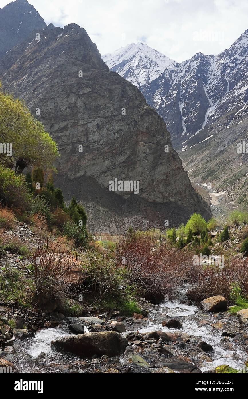 natura selvaggia della valle del lahaul, vista panoramica delle montagne innevate dell'himalaya e della foresta di montagna, lahaul e spiti, himachal pradesh, india Foto Stock