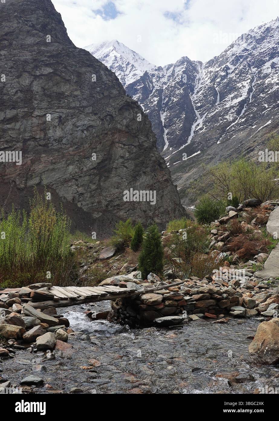 natura selvaggia della valle del lahaul, vista panoramica delle montagne innevate dell'himalaya e della foresta di montagna, lahaul e spiti, himachal pradesh, india Foto Stock