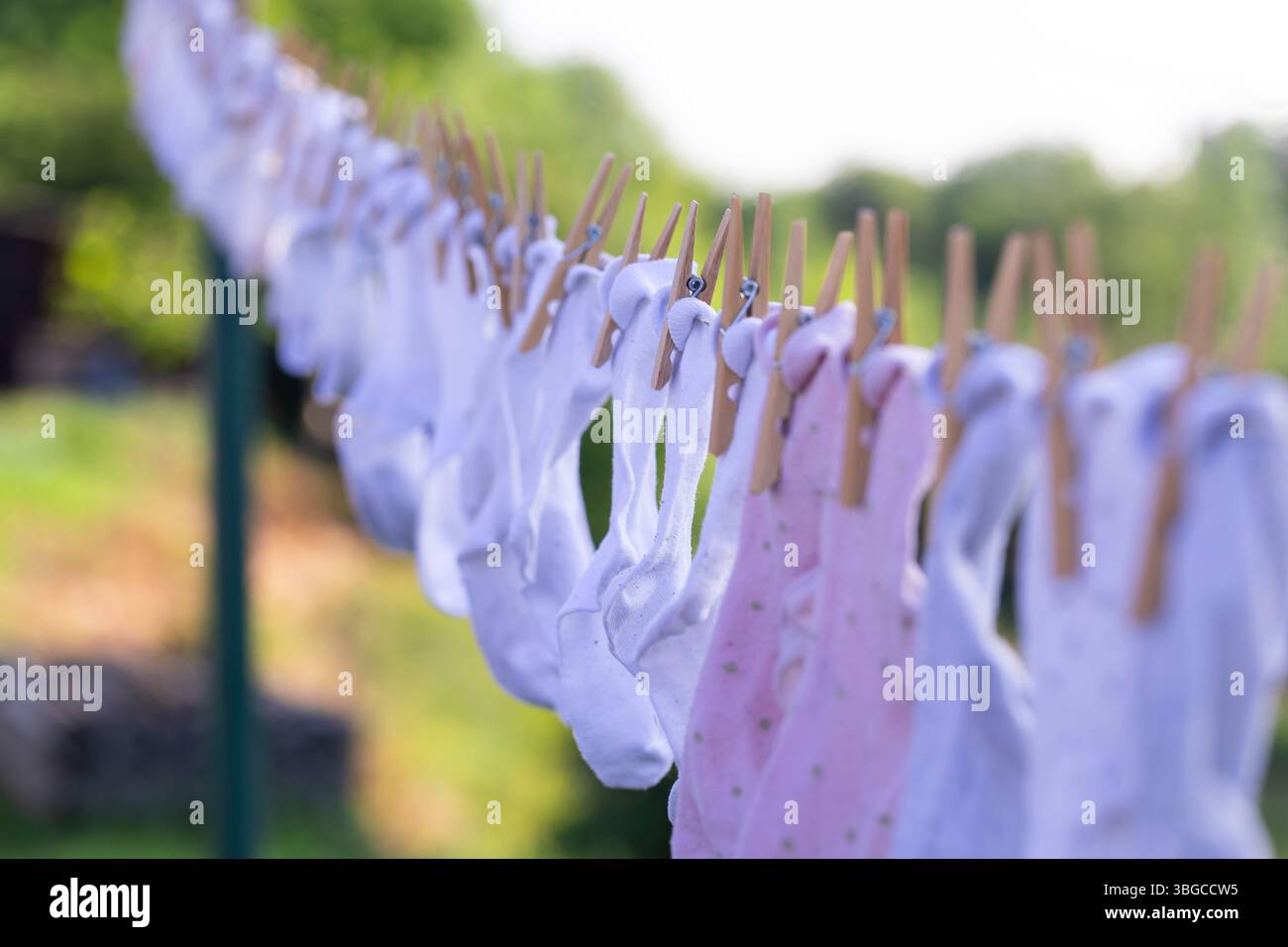 Calze per bambini lavate in colori pastello appese su una linea con clothespins, che simboleggiano la cura domestica, i metodi di essiccazione naturale e la eco-consapevole Foto Stock Calze per bambini lavate in colori pastello appese su una linea con clothespins, che simboleggiano la cura domestica, i metodi di essiccazione naturale e la eco-consapevole Foto Stock