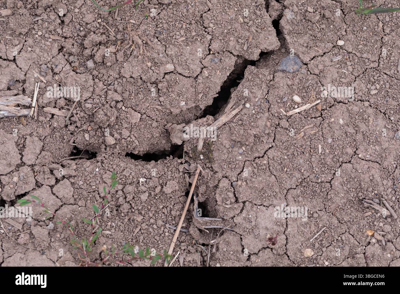 Vista macro dettagliata del terreno secco incrinato in luce naturale, che illustra la siccità, il clima arido e lo stress ambientale, perfetta da illustrare Foto Stock