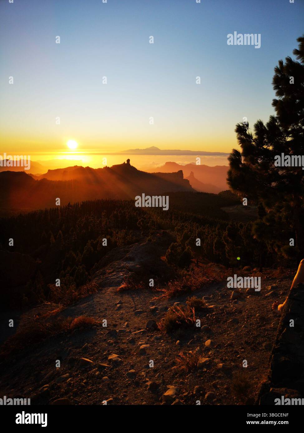 Tramonto sul paesaggio montuoso con foreste di pini e vette spettacolari. - Immagine stock catturata con smartphone