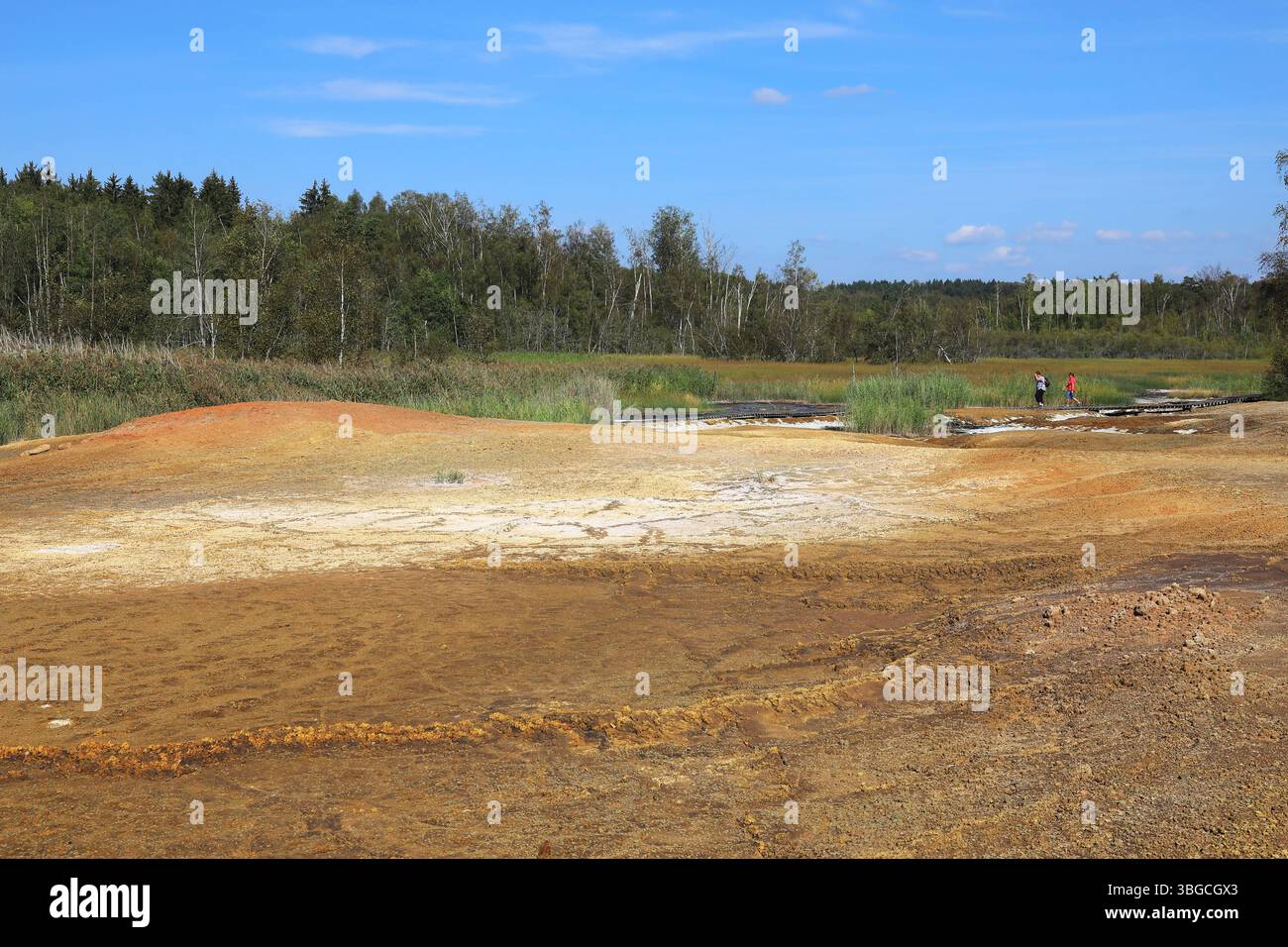 An die Oberfläche tretende mineralisierte Wässer, Ablagerungen, früher in Sudhütten zu Salzen eingesotten, Landschaft im Soos, Moor, Nationales Naturr Foto Stock