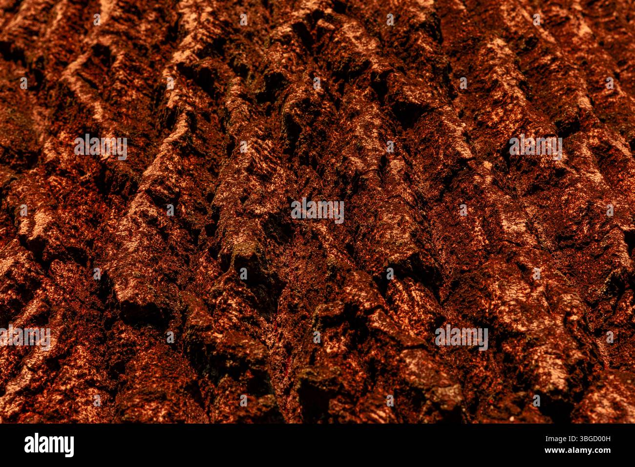 Primo piano di corteccia arborea robusta e rossastra che mostra scanalature profonde e texture naturale, ideale per sfondi o disegni a tema naturale. Foto Stock