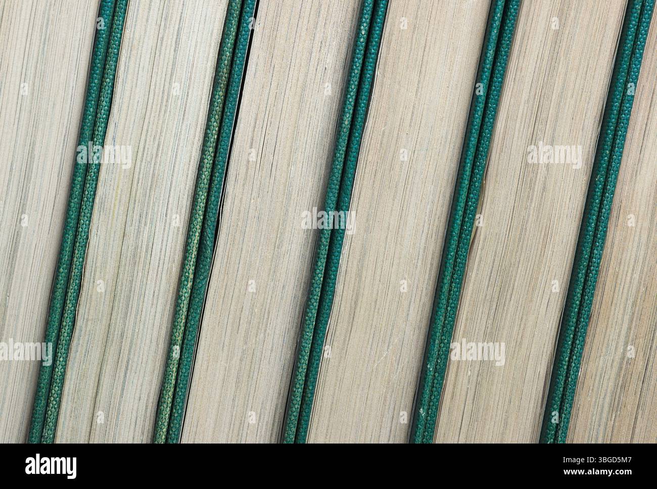 libri di enciclopedia vecchi e inclinati di fila Foto Stock