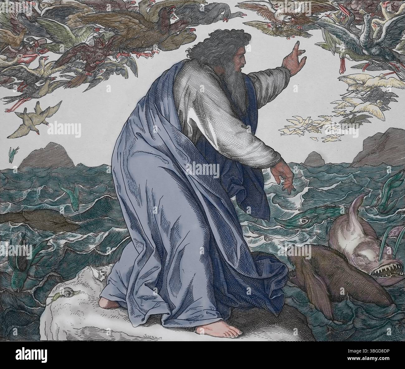Vecchio Testamento. Il quinto giorno della creazione. Genesi. Illustrazione di J. Schnorr von Carolsfeld. "La Bibbia dei quadri", 1852-60. Foto Stock