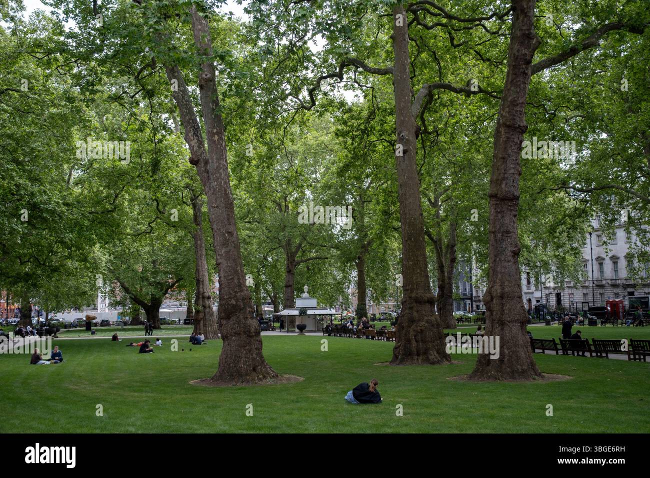 Berkeley Square nell'esclusiva zona di Mayfair il 7 maggio 2025 a Londra, Regno Unito. Tradizionalmente le zone ricche della Londra occidentale si sono sviluppate in ricchi parchi giochi dei super ricchi, con affluenti di denaro oltreoceano, in particolare dal Medio Oriente, dalla Russia e dalla Cina. Secondo recenti ricerche, la capitale del Regno Unito ospita più persone di alto valore netto HNW, e UHNW ultra-alto patrimonio netto di qualsiasi altra città del mondo. Foto Stock