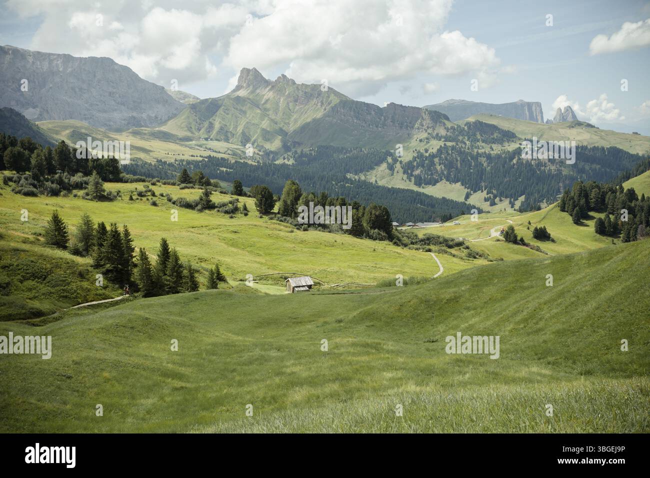Gli ampi prati sul versante settentrionale dello Sciliar nelle Dolomiti Foto Stock