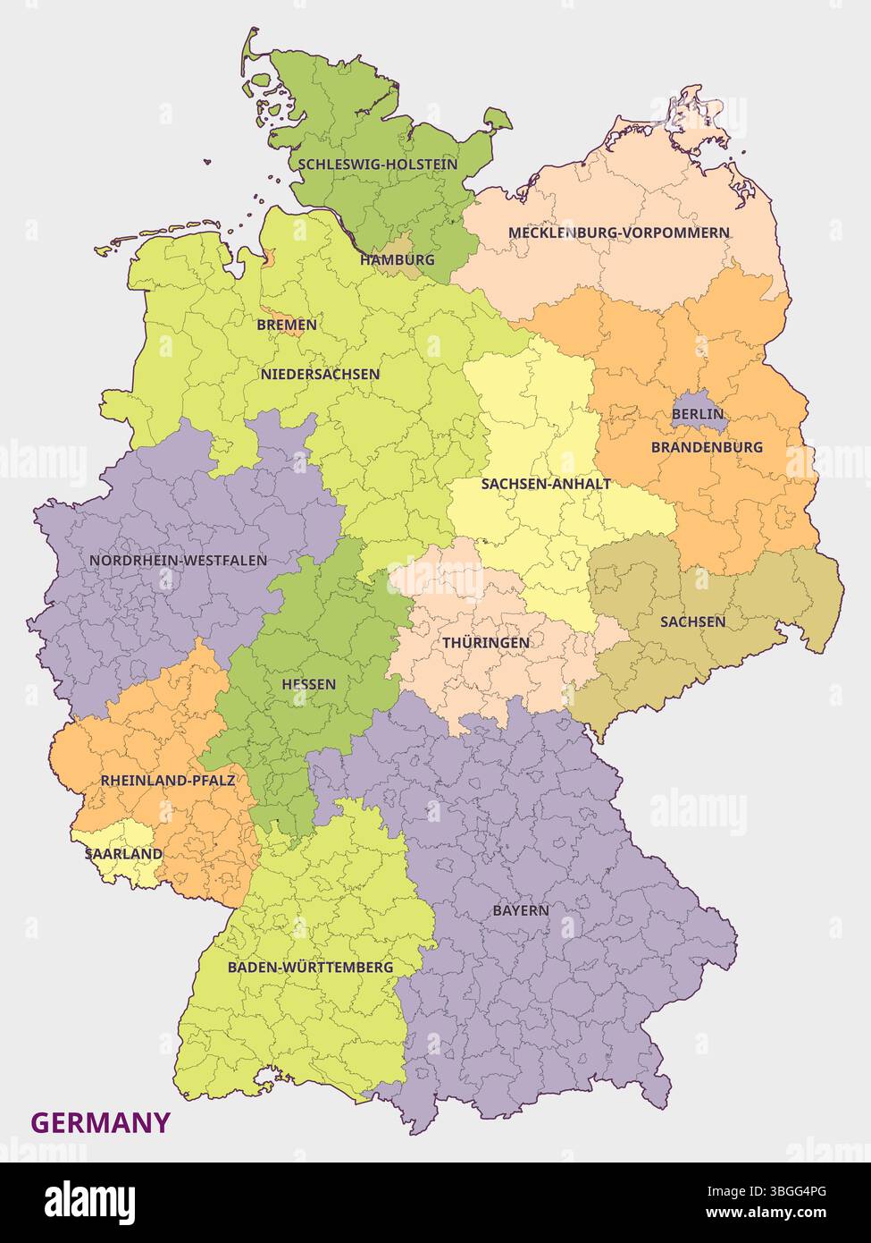 Mappa della Repubblica federale di Germania con le sue divisioni amministrative Illustrazione Vettoriale