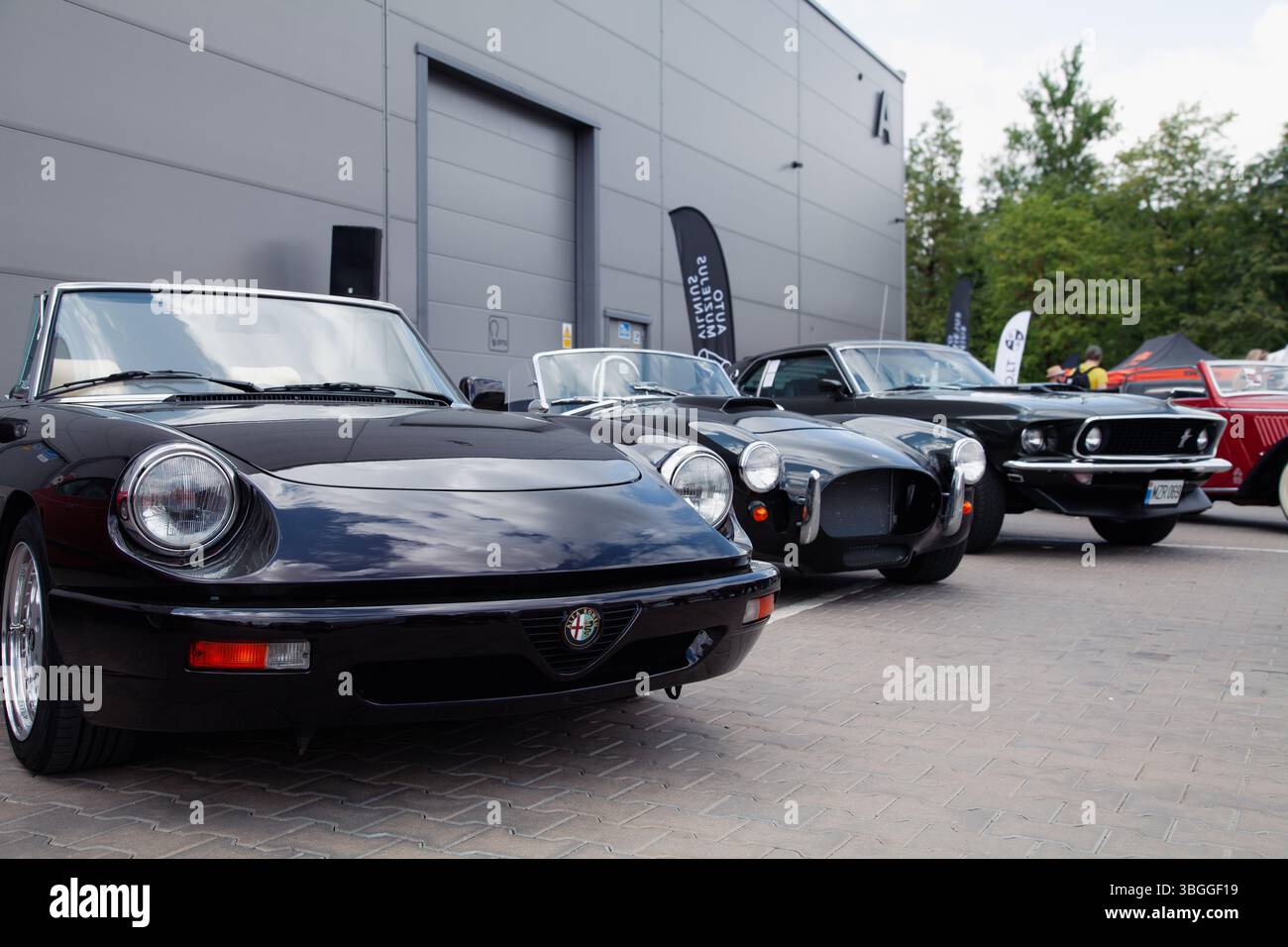 Vilnius, Lituania - 31-05-2025 - Una linea di classici vintage - Alfa Romeo Spider 4, Shelby Cobra Roadster e Ford Mustang - in mostra all'aperto Foto Stock