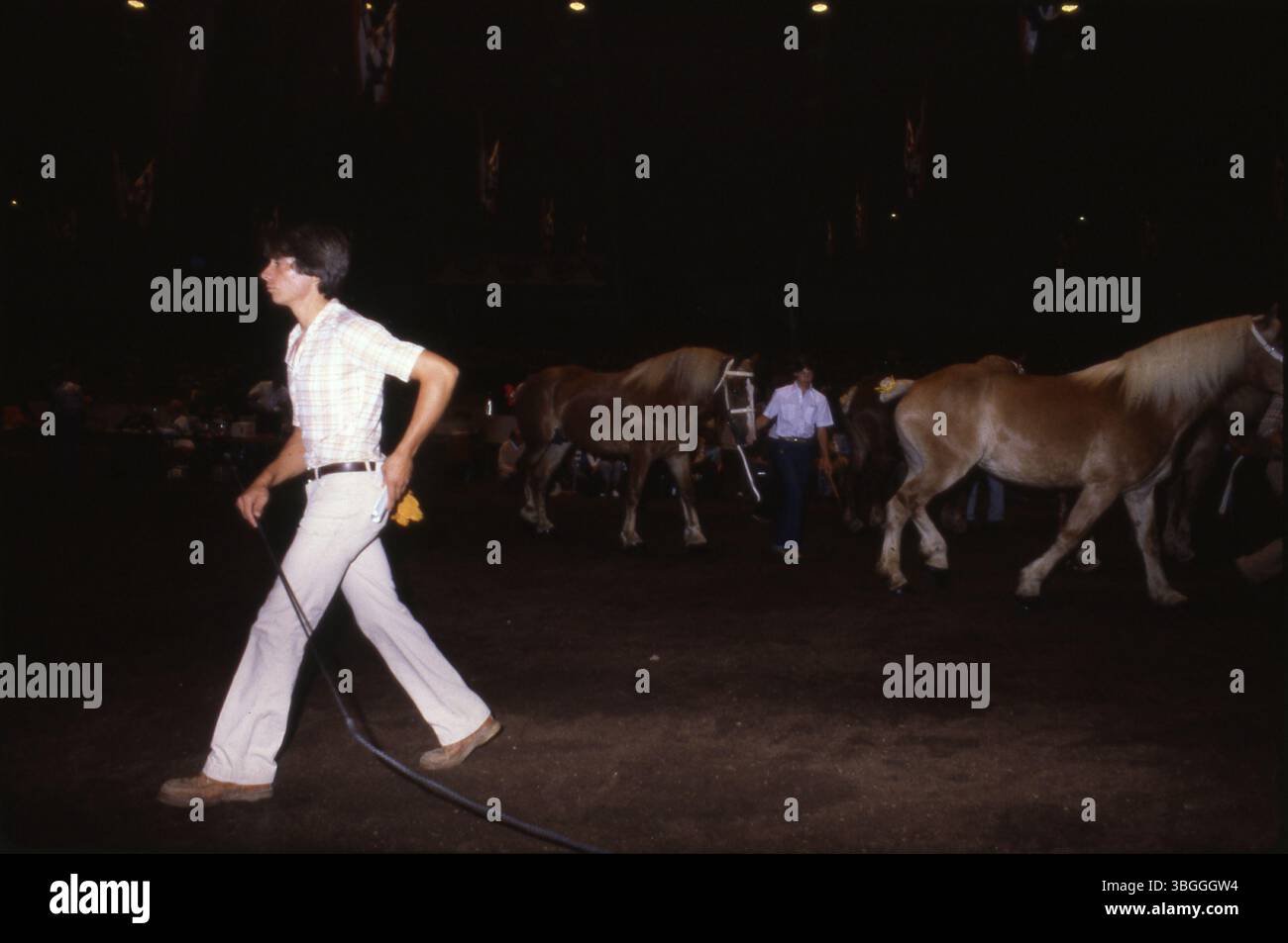 I partecipanti mostrano i loro cavalli in una gara presso l'Ohio State Fair's Coliseum nel 1981. L'evento faceva parte della fiera annuale che si tenne dal 14 al 30 agosto. Foto Stock