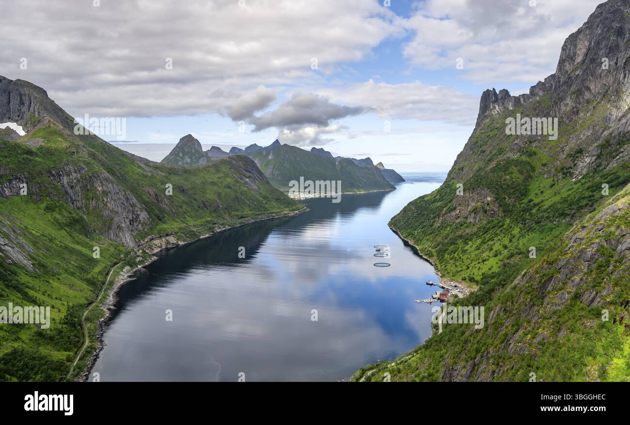 Vista del fiordo e delle montagne di Oyfjorden, paesaggio dei fiordi con vette, escursione al monte Barden, Senja, Norvegia, Europa Foto Stock
