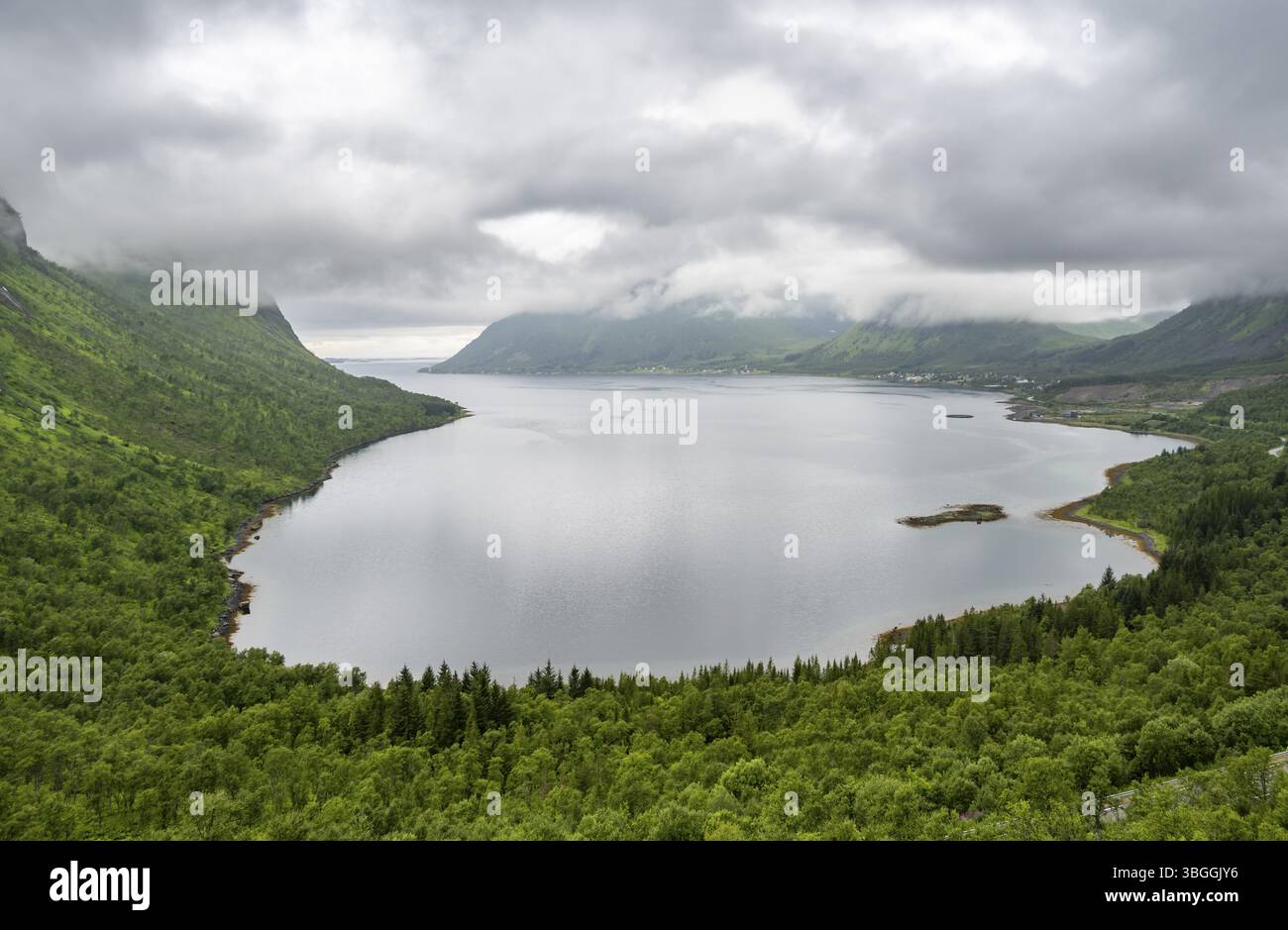 Paesaggio torbido di fiordi con foresta, Senja Island, Norvegia, Europa Foto Stock